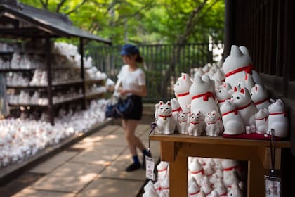 Cómo es el templo de Gotokuji, en Tokio, dedicado a los gatos de la suerte, maneki-neko