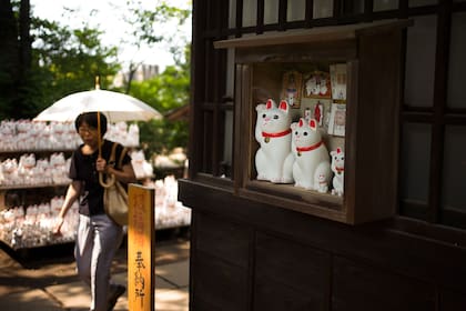 Cómo es el templo de Gotokuji, en Tokio, dedicado a los gatos de la suerte, maneki-neko