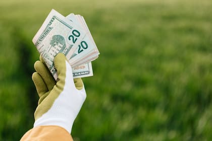 Cómo está el dólar en México hoy, 29 de marzo