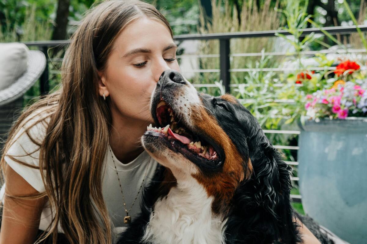 Cómo evitar errores comunes al cuidar a nuestras mascotas