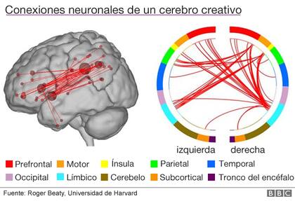 Cómo funciona el cerebro de los genios