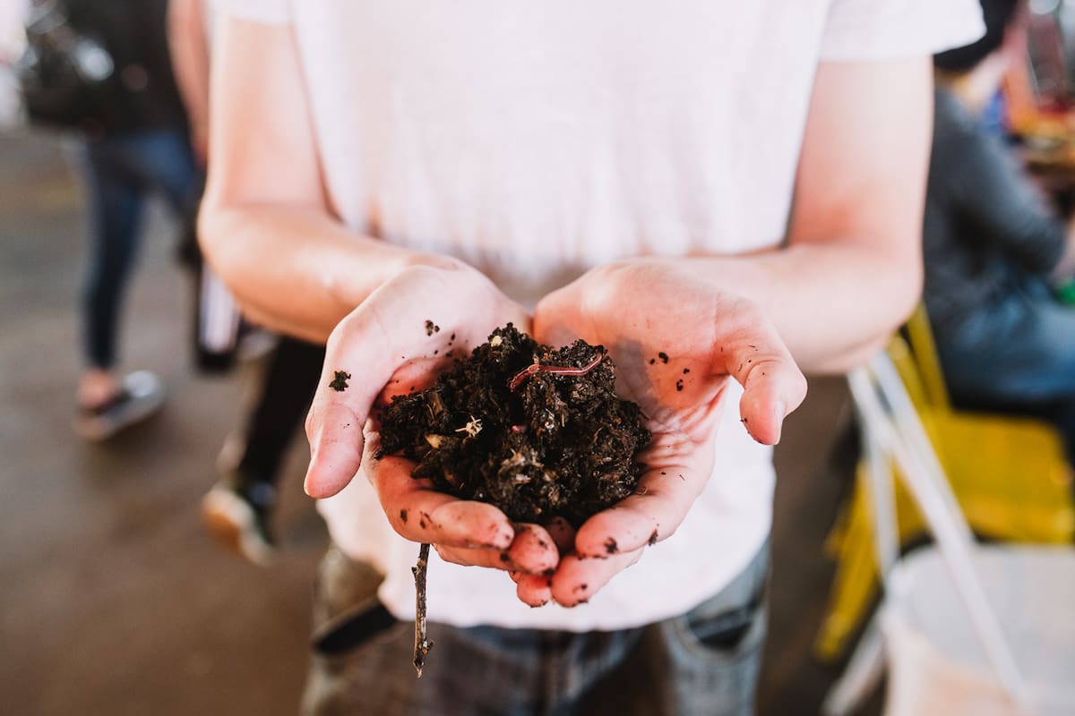 Cómo hacer compost en la casa y para qué sirve