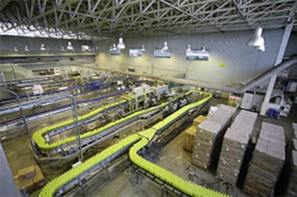 La gaseosa de limón es el producto más exitoso de la compañía, y alcanza un promedio de alrededor del 50% de sus ventas,
