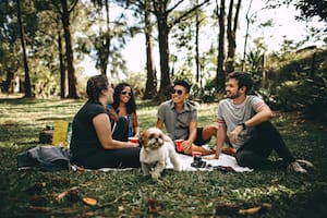 Cómo identificar a qué generación pertenecen las personas según su año de nacimiento (Foto de carácter ilustrativo: PEXELS)