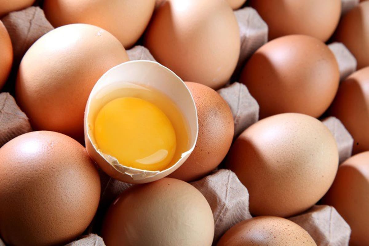 Cómo identificar si un huevo está pasado