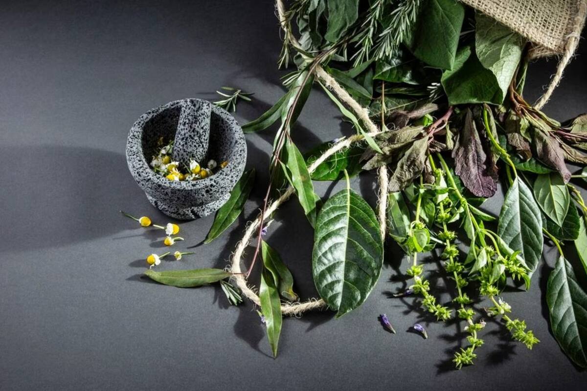 Cómo incoporar hierbas aromáticas a tus preparaciones