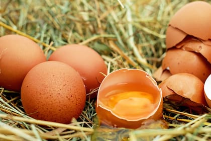 ¿Cómo influye el huevo en la dieta?