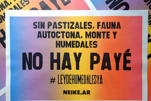 Como invitada especial participa Eliana Alarcón, impulsora de Neike.ar, proyecto que apela a la cultura de la región guaraní en intervenciones en el espacio público