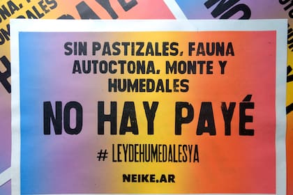 Como invitada especial participa Eliana Alarcón, impulsora de Neike.ar, proyecto que apela a la cultura de la región guaraní en intervenciones en el espacio público