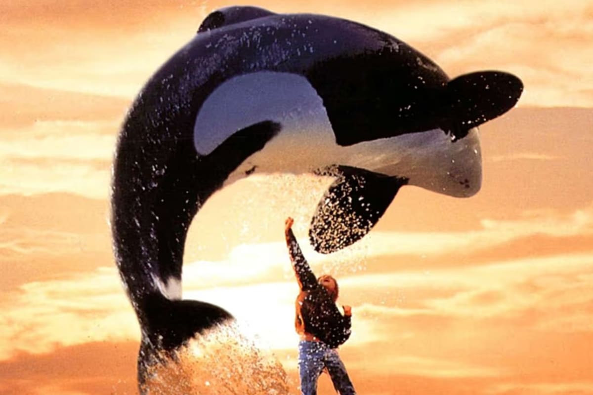 Como Kshamenk, la historia desgarradora de Keiko, protagonista de Liberen a Willy que tuvo un final poco feliz