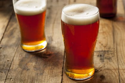¿Cómo llegó la levadura patagónica a la receta original de la cerveza Lager?