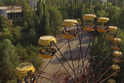 ¿Cómo logró proliferar la vegetación en Chernóbil tras la contaminación por radiación?