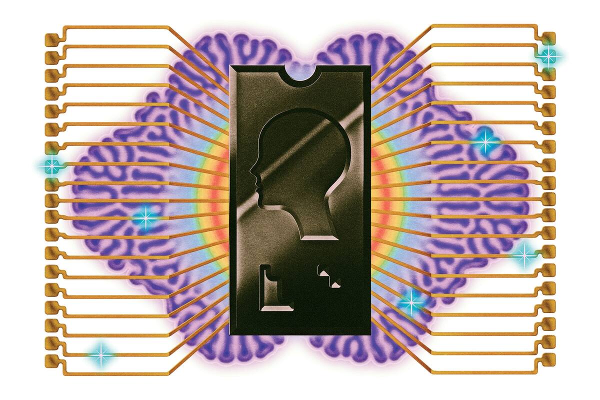 Como los cálculos necesarios para ayudar a las máquinas a aprender y analizar datos en forma masiva son diferentes de los que requiere una computadora convencional, surgen nuevos diseños de procesadores y compañías que podrían ser la próxima Intel o Qualcomm