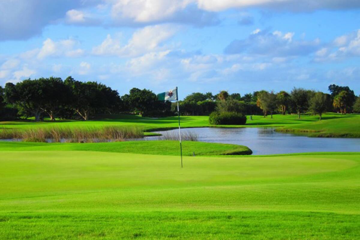 Como muchos otros escenarios deportivos, las canchas de golf llevan casi cinco meses vacías en el Área Metropolitana de Buenos Aires.