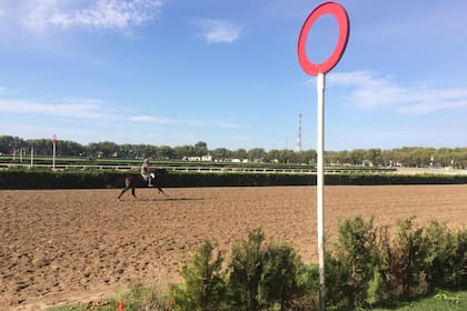Como no se sabe cuándo se va a restablecer la competencia, las caballos se limitan a ejercicios de mantenimiento