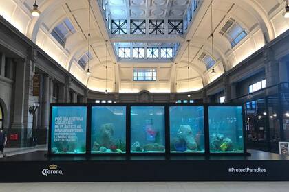 Como parte de su campaña #ProtectParadise, Corona recreó una parte del océano para concientizar acerca de la contaminación marina