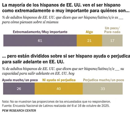 Cómo perciben la identidad hispana en relación con el sueño americano los integrantes de familias migrantes latinas