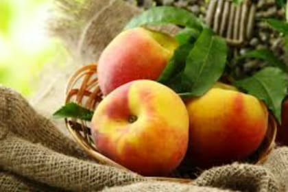 Cómo preparar té de hojas de durazno y por qué puede ser útil para el corazón, la digestión y el sueño