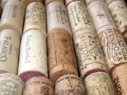¿Cómo protege al vino el corcho? Evita que entre aire, bacterias, moho y otros contaminantes. Además, protege el vino de la evaporación.