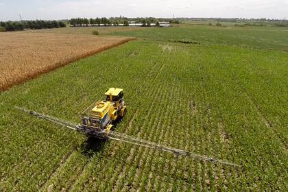 Cómo proteger la soja en un contexto climático incierto.