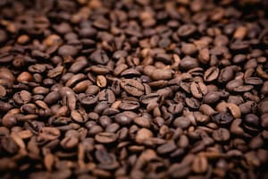 Cómo puedo reutilizar el café molido: diversas opciones para aprovechar las propiedades de este grano