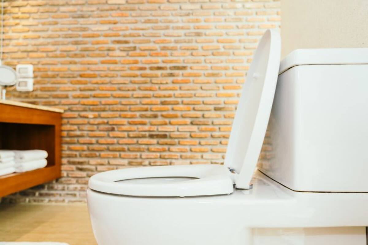 ¿Cómo quitar el olor a suciedad del baño? Conocé la solución rápida y duradera
