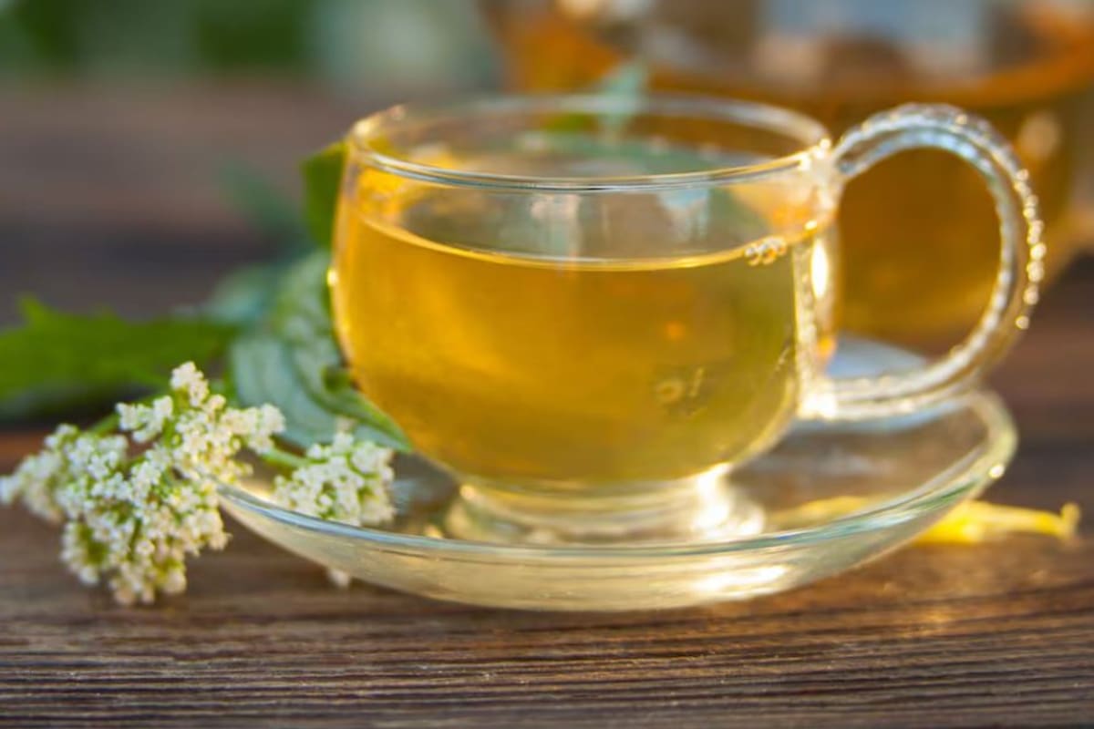 Cómo realizar el té de valeriana para combatir el insomnio