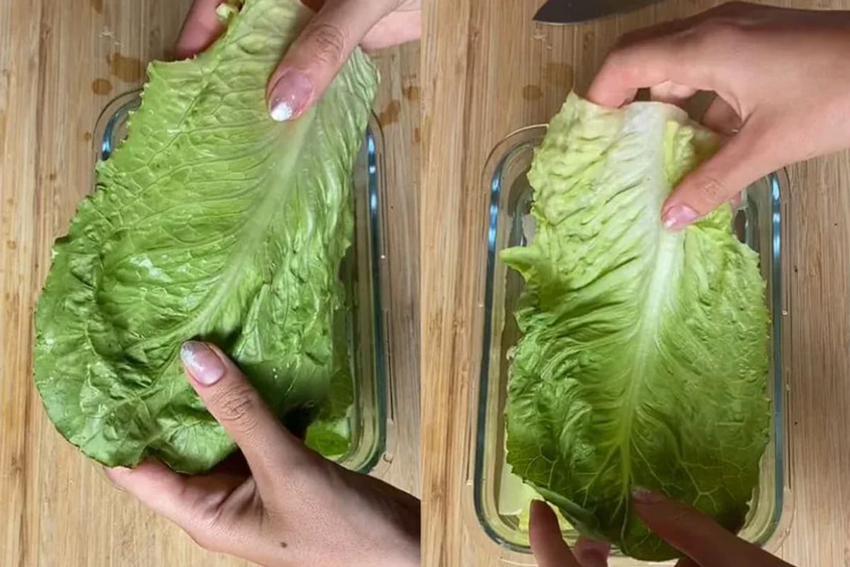 Cómo recuperar una lechuga en mal estado.