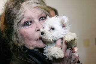 La herencia de Brigitte Bardot: cómo la actriz favoreció a su fundación por sobre a su único hijo