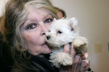 Cómo se repartirá la herencia de Brigitte Bardot entre su único hijo y su fundación protectora de animales