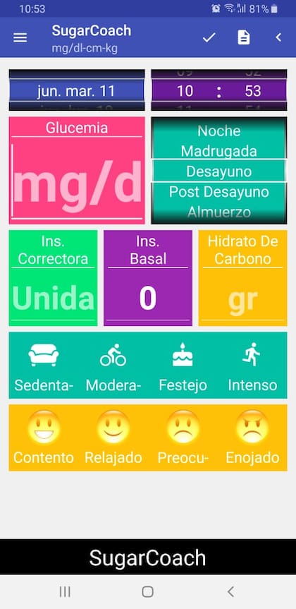 Cómo se ve la app
