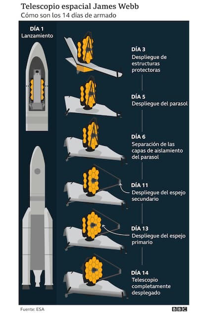 Cómo son los 14 días de armado