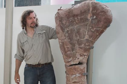 Cómo son los "Colossosaurios", la nueva familia de dinosaurios hallada por argentinos