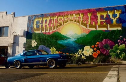 Como varias ciudades de California, Grass Village tiene un alto costo de vida