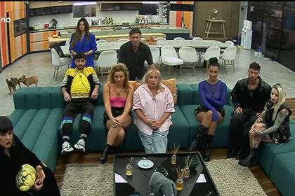 Cómo ver Gran Hermano en vivo