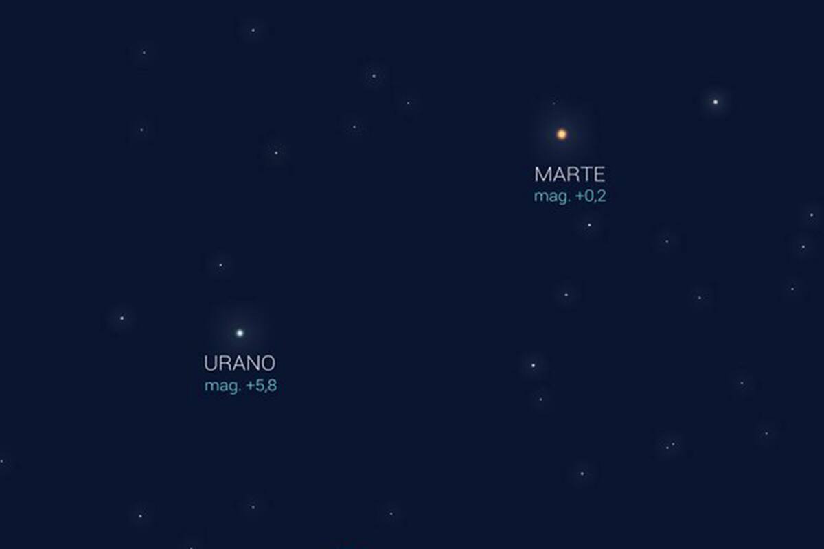 Cómo verla y hasta cuándo se la puede apreciar