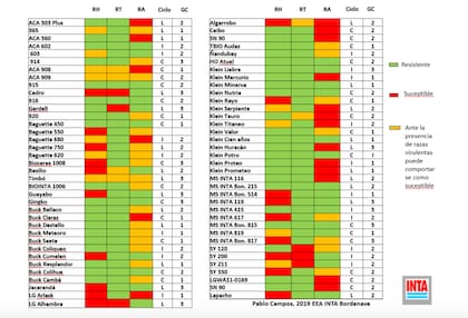 Comportamiento a las tres royas, ciclo y grupo de calidad