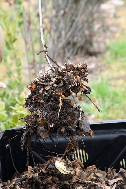 Compostar ayuda a restaurar suelos urbanos degradados, mejora la infiltración de agua, aumenta la biodiversidad microbiana y reduce la necesidad de fertilizantes sintéticos