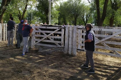 Compradores de Salliqueló en el último remate