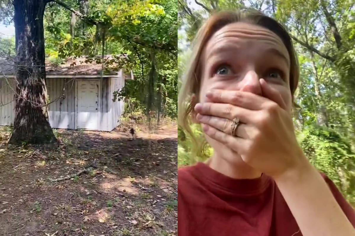 Compraron una casa abandonada y no podían creer lo que encontraron adentro