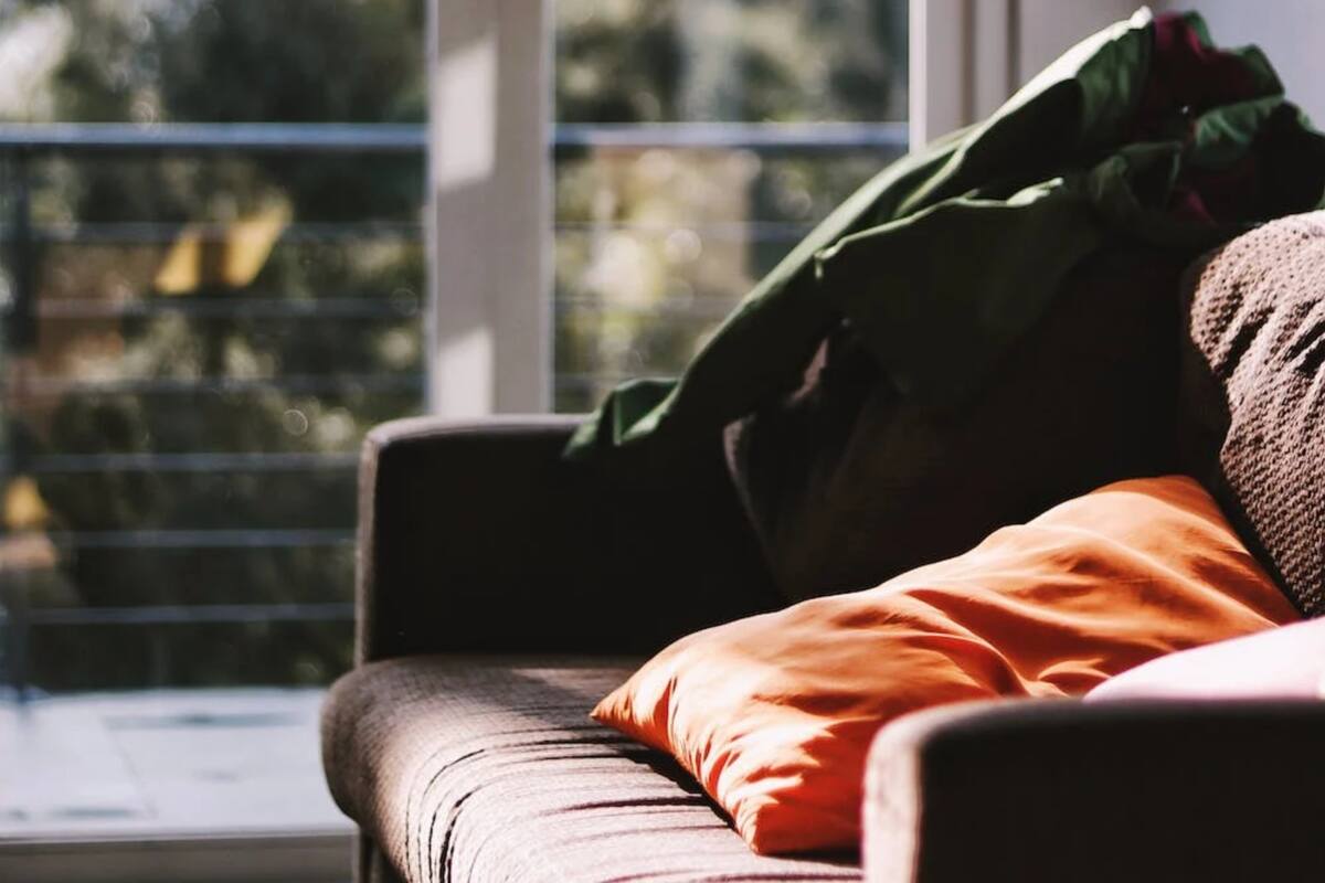 Compró un sillón usado y encontró una perra abandonada adentro