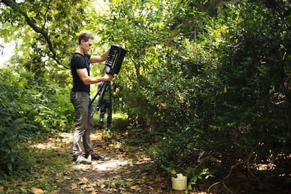 comunidad de negocios