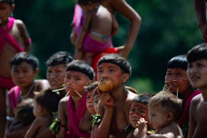 Comunidades en la reserva yanomami enfrentan una situación crítica que genera sospechas de genocidio