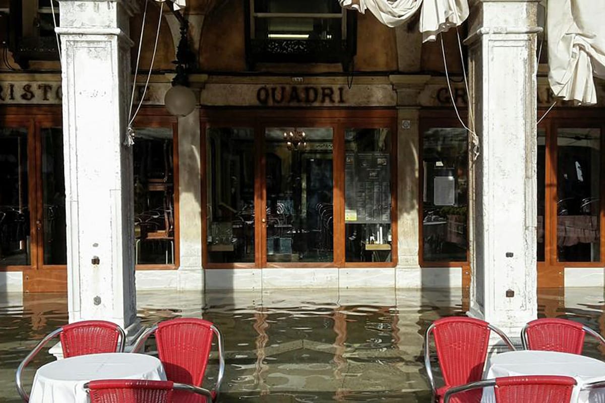 Con 100 ml de agua, el café resiste hace casi 250 años