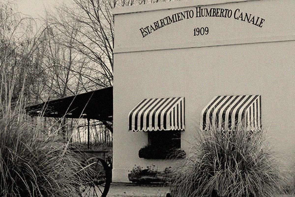 Con 116 años de historia, la bodega Humberto Canale avanza en un proceso de transformación