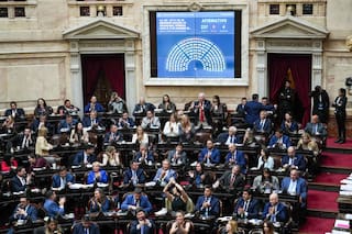 El Gobierno consiguió aprobar su proyecto de discapacidad con el respaldo del peronismo