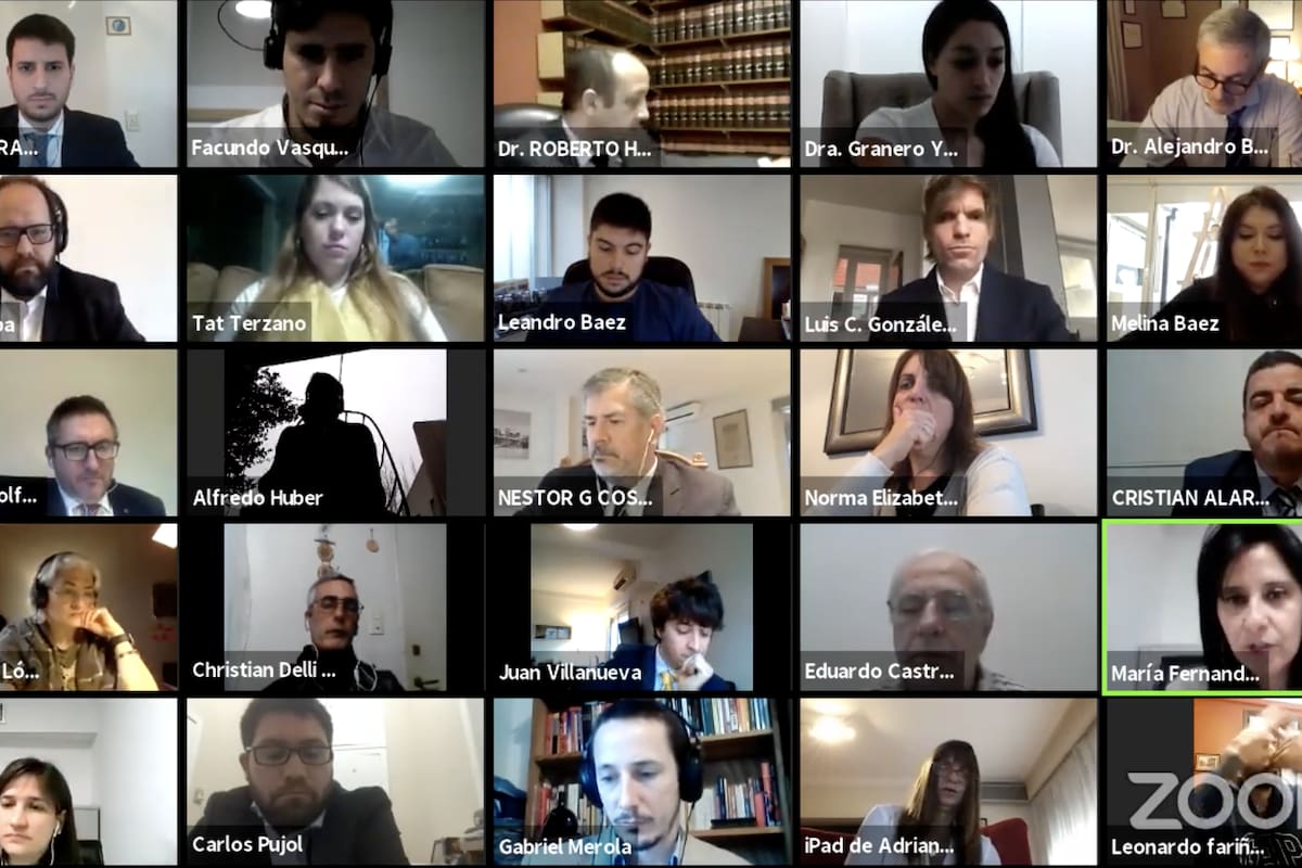 Con 25 usuarios conectados, la audiencia fue reanudada esta mañana vía Zoom