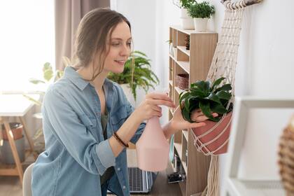 Con algunos cuidados específicos, es posible revitalizar las plantas y devolverles su vitalidad.