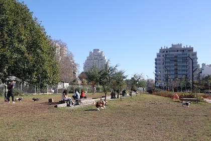 Con apenas 0,7 metro cuadrado de verde por habitante, Colegiales reconvirtió el playón ferroviario en espacio verde e impulsa más iniciativas