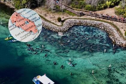 Con casas de 330 mil dólares, Crystal River se ha convertido en uno de los mejores pueblos pequeños para vivir en Florida